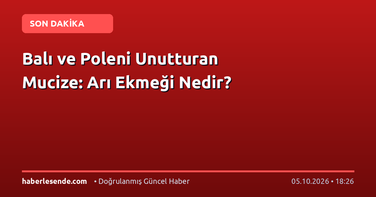 Balı ve Poleni Unutturan Mucize: Arı Ekmeği Nedir?