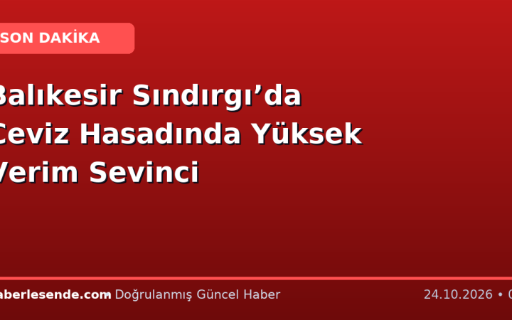 Balıkesir Sındırgı’da Ceviz Hasadında Yüksek Verim Sevinci