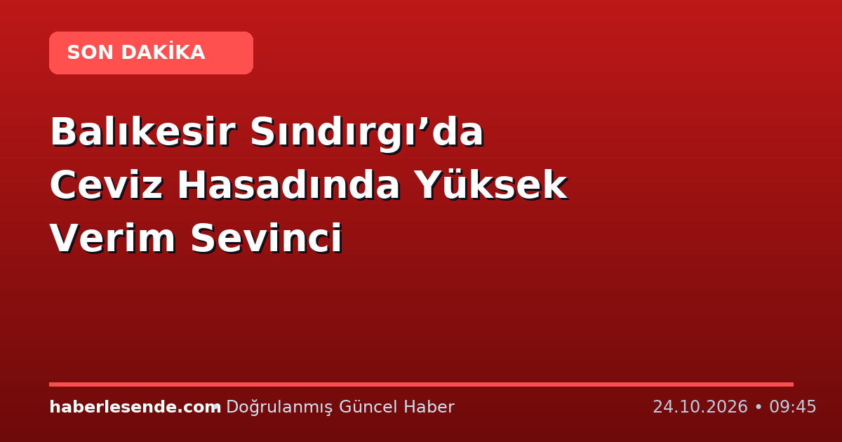 Balıkesir Sındırgı’da Ceviz Hasadında Yüksek Verim Sevinci