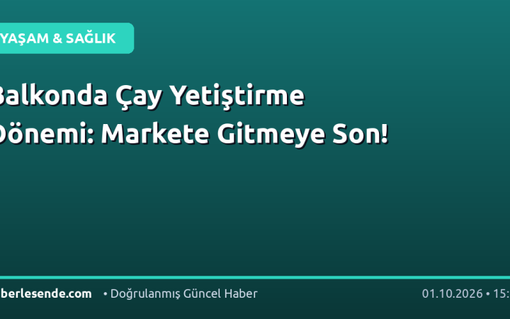 Balkonda Çay Yetiştirme Dönemi: Markete Gitmeye Son!