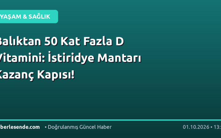 Balıktan 50 Kat Fazla D Vitamini: İstiridye Mantarı Kazanç Kapısı!