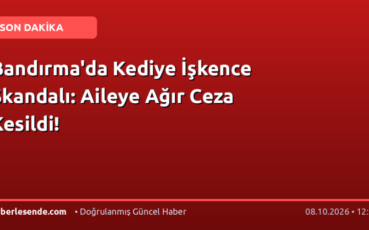 Bandırma'da Kediye İşkence Skandalı: Aileye Ağır Ceza Kesildi!