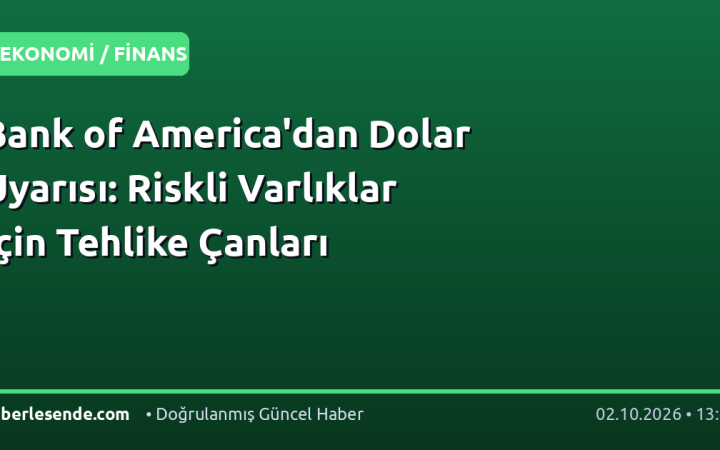 Bank of America'dan Dolar Uyarısı: Riskli Varlıklar İçin Tehlike Çanları