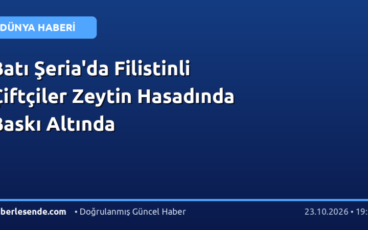 Batı Şeria'da Filistinli Çiftçiler Zeytin Hasadında Baskı Altında