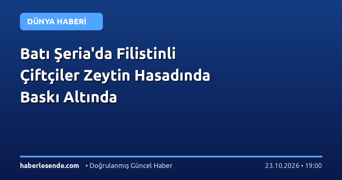 Batı Şeria'da Filistinli Çiftçiler Zeytin Hasadında Baskı Altında