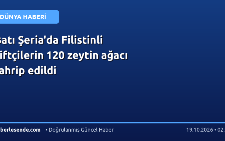 Batı Şeria'da Filistinli çiftçilerin 120 zeytin ağacı tahrip edildi
