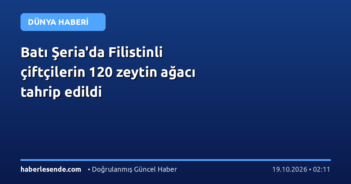Batı Şeria'da Filistinli çiftçilerin 120 zeytin ağacı tahrip edildi