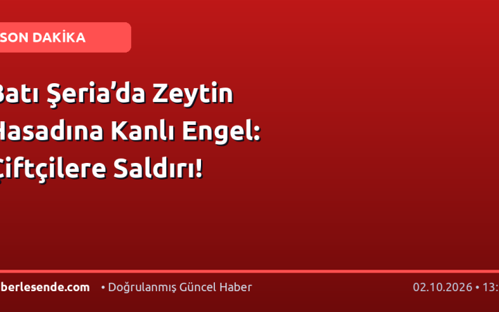Batı Şeria’da Zeytin Hasadına Kanlı Engel: Çiftçilere Saldırı!