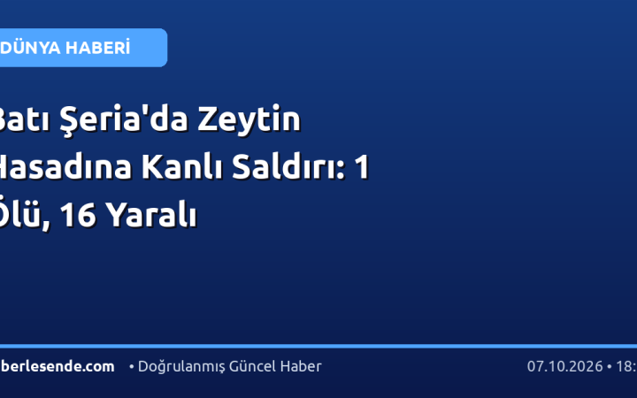 Batı Şeria'da Zeytin Hasadına Kanlı Saldırı: 1 Ölü, 16 Yaralı