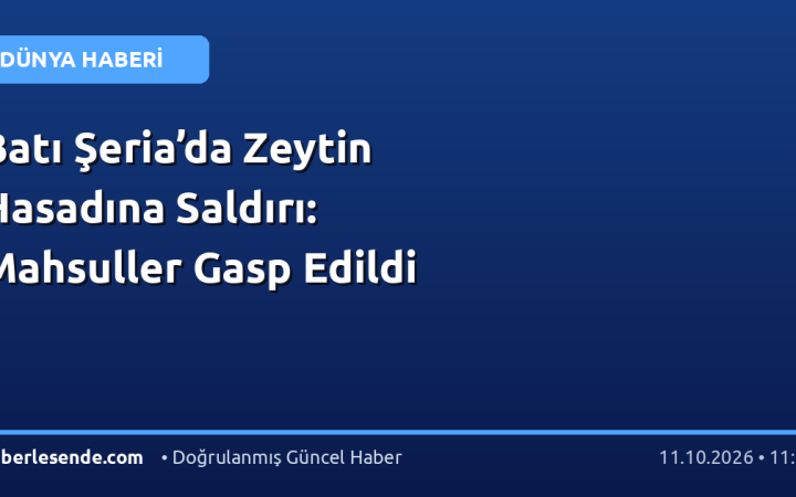 Batı Şeria’da Zeytin Hasadına Saldırı: Mahsuller Gasp Edildi