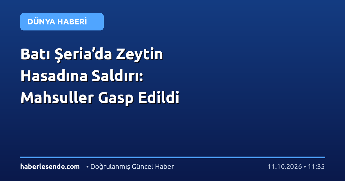Batı Şeria’da Zeytin Hasadına Saldırı: Mahsuller Gasp Edildi
