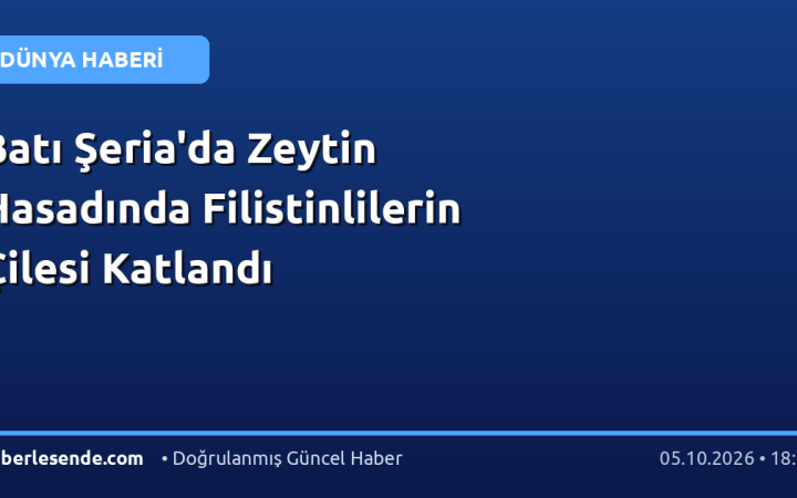 Batı Şeria'da Zeytin Hasadında Filistinlilerin Çilesi Katlandı
