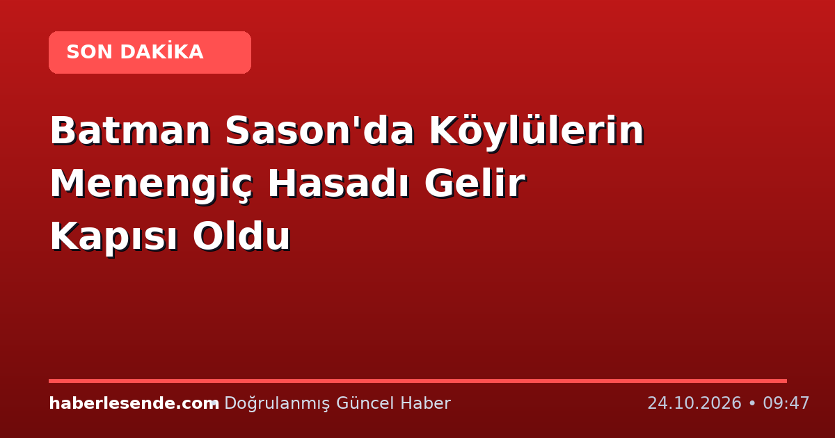 Batman Sason'da Köylülerin Menengiç Hasadı Gelir Kapısı Oldu