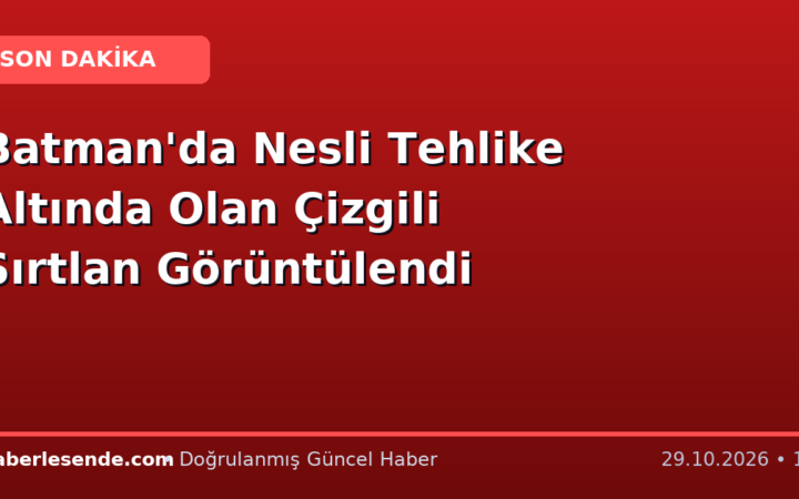 Batman'da Nesli Tehlike Altında Olan Çizgili Sırtlan Görüntülendi