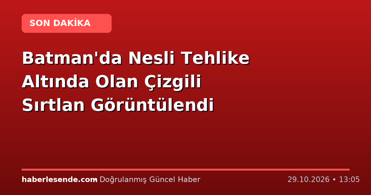 Batman'da Nesli Tehlike Altında Olan Çizgili Sırtlan Görüntülendi