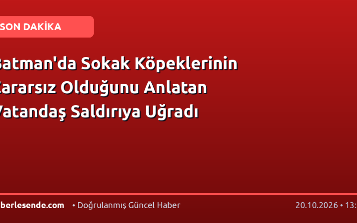 Batman'da Sokak Köpeklerinin Zararsız Olduğunu Anlatan Vatandaş Saldırıya Uğradı