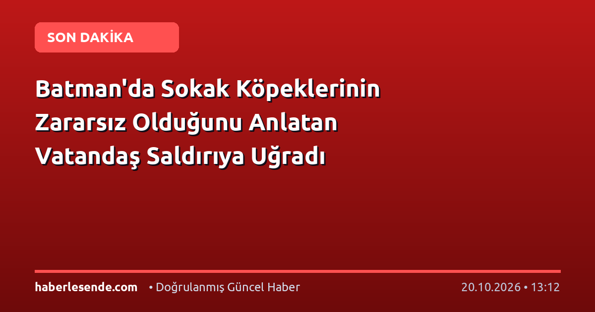 Batman'da Sokak Köpeklerinin Zararsız Olduğunu Anlatan Vatandaş Saldırıya Uğradı