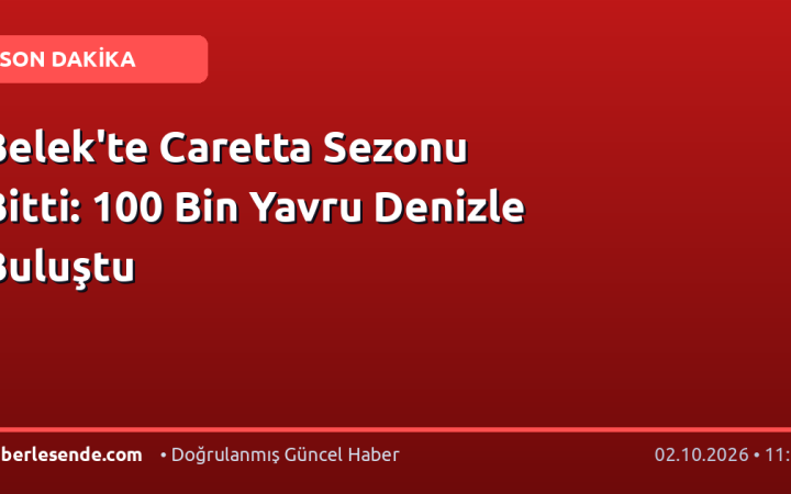 Belek'te Caretta Sezonu Bitti: 100 Bin Yavru Denizle Buluştu