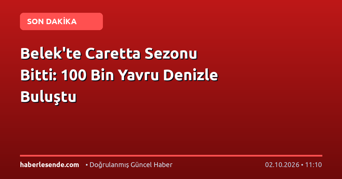 Belek'te Caretta Sezonu Bitti: 100 Bin Yavru Denizle Buluştu