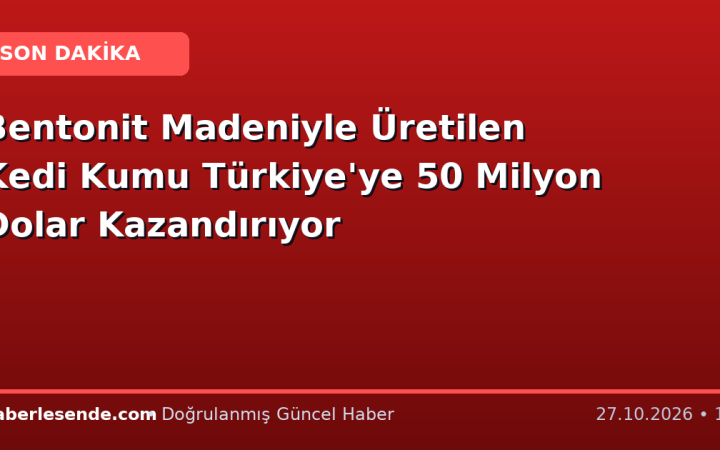 Bentonit Madeniyle Üretilen Kedi Kumu Türkiye'ye 50 Milyon Dolar Kazandırıyor