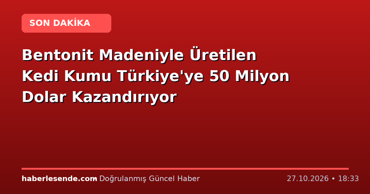 Bentonit Madeniyle Üretilen Kedi Kumu Türkiye'ye 50 Milyon Dolar Kazandırıyor