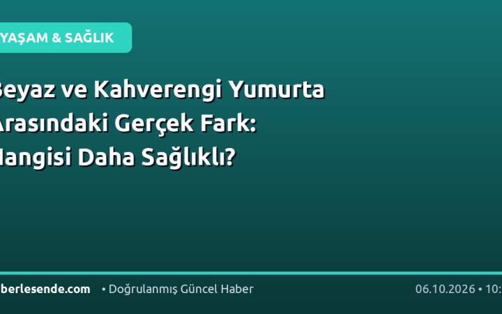 Beyaz ve Kahverengi Yumurta Arasındaki Gerçek Fark: Hangisi Daha Sağlıklı?
