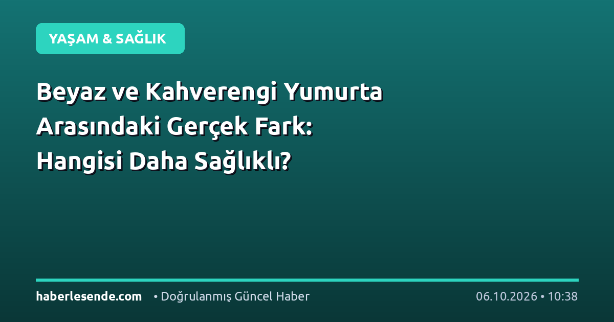 Beyaz ve Kahverengi Yumurta Arasındaki Gerçek Fark: Hangisi Daha Sağlıklı?
