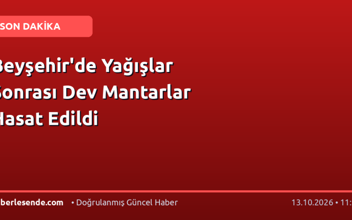 Beyşehir'de Yağışlar Sonrası Dev Mantarlar Hasat Edildi