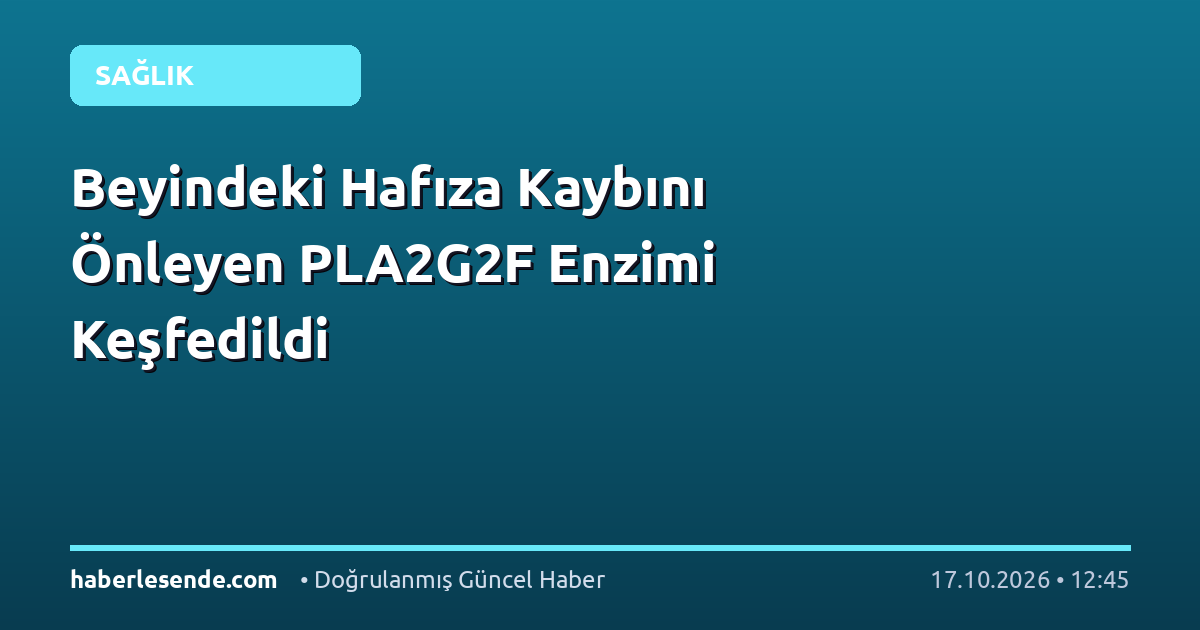 Beyindeki Hafıza Kaybını Önleyen PLA2G2F Enzimi Keşfedildi