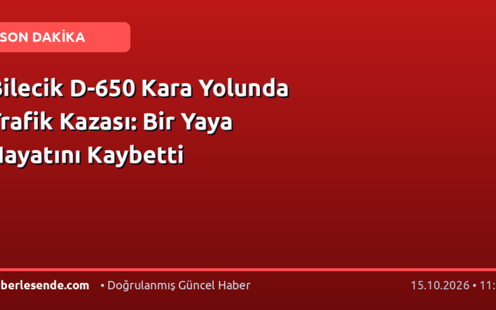 Bilecik D-650 Kara Yolunda Trafik Kazası: Bir Yaya Hayatını Kaybetti