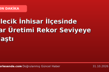 Bilecik İnhisar İlçesinde Nar Üretimi Rekor Seviyeye Ulaştı