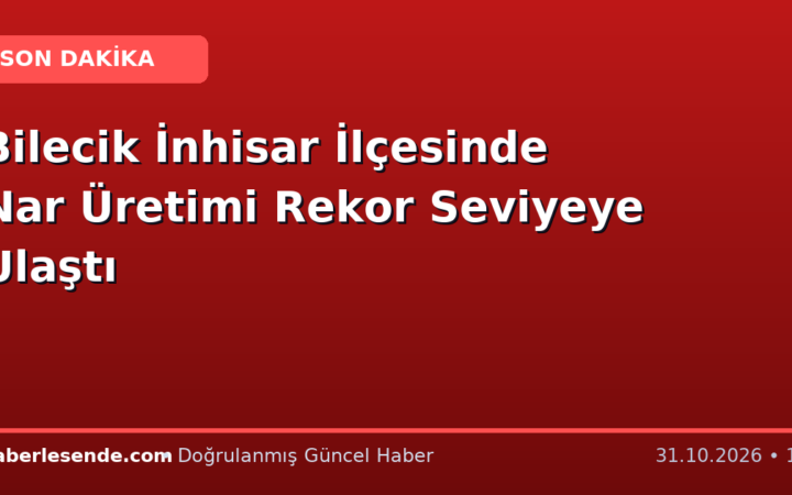 Bilecik İnhisar İlçesinde Nar Üretimi Rekor Seviyeye Ulaştı