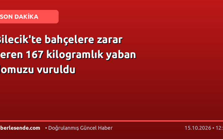 Bilecik'te bahçelere zarar veren 167 kilogramlık yaban domuzu vuruldu