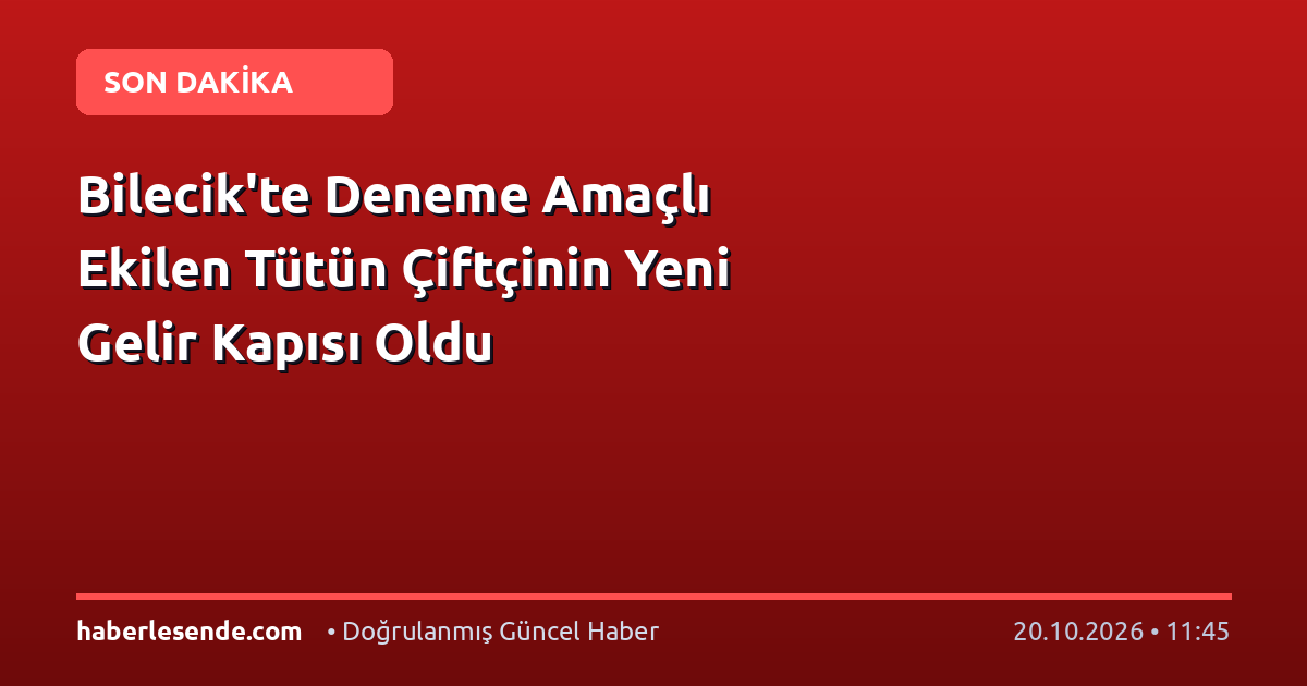 Bilecik'te Deneme Amaçlı Ekilen Tütün Çiftçinin Yeni Gelir Kapısı Oldu