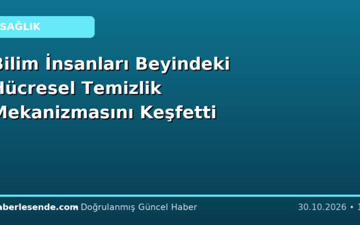Bilim İnsanları Beyindeki Hücresel Temizlik Mekanizmasını Keşfetti