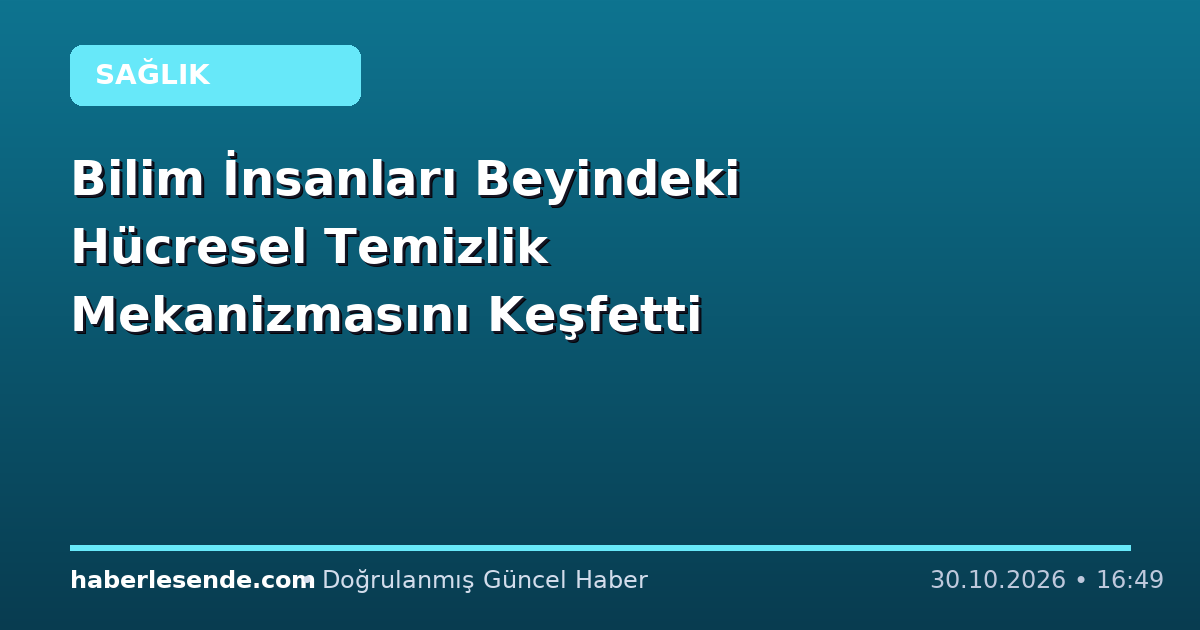 Bilim İnsanları Beyindeki Hücresel Temizlik Mekanizmasını Keşfetti