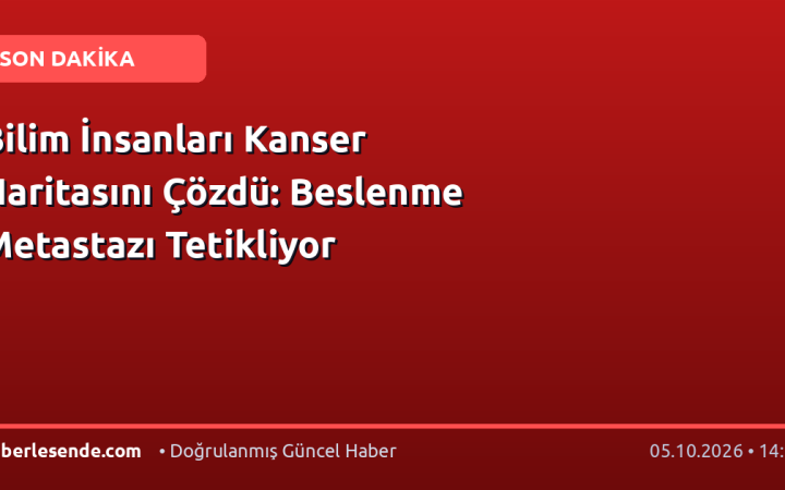 Bilim İnsanları Kanser Haritasını Çözdü: Beslenme Metastazı Tetikliyor