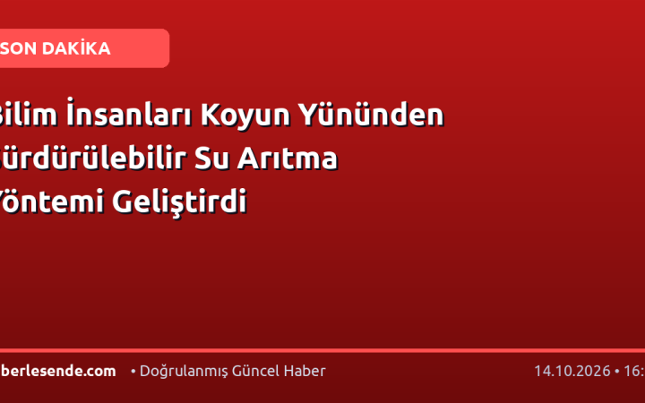 Bilim İnsanları Koyun Yününden Sürdürülebilir Su Arıtma Yöntemi Geliştirdi