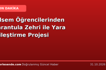 Bilsem Öğrencilerinden Tarantula Zehri ile Yara İyileştirme Projesi