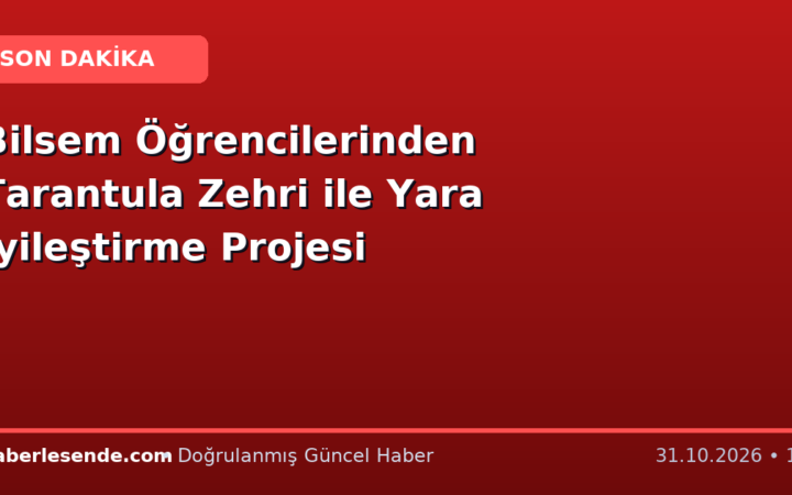 Bilsem Öğrencilerinden Tarantula Zehri ile Yara İyileştirme Projesi