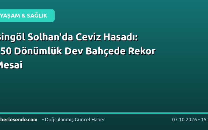 Bingöl Solhan'da Ceviz Hasadı: 150 Dönümlük Dev Bahçede Rekor Mesai