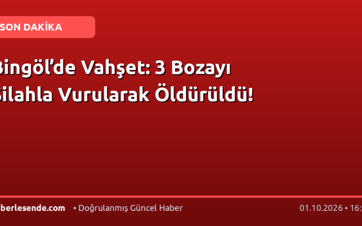 Bingöl’de Vahşet: 3 Bozayı Silahla Vurularak Öldürüldü!