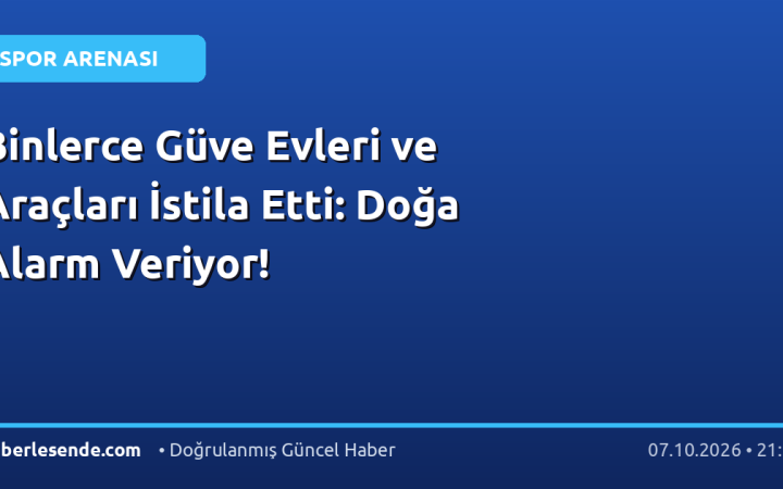 Binlerce Güve Evleri ve Araçları İstila Etti: Doğa Alarm Veriyor!