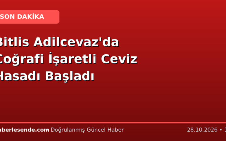Bitlis Adilcevaz'da Coğrafi İşaretli Ceviz Hasadı Başladı