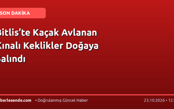 Bitlis’te Kaçak Avlanan Kınalı Keklikler Doğaya Salındı