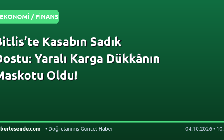Bitlis’te Kasabın Sadık Dostu: Yaralı Karga Dükkânın Maskotu Oldu!