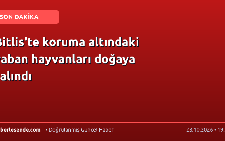 Bitlis'te koruma altındaki yaban hayvanları doğaya salındı