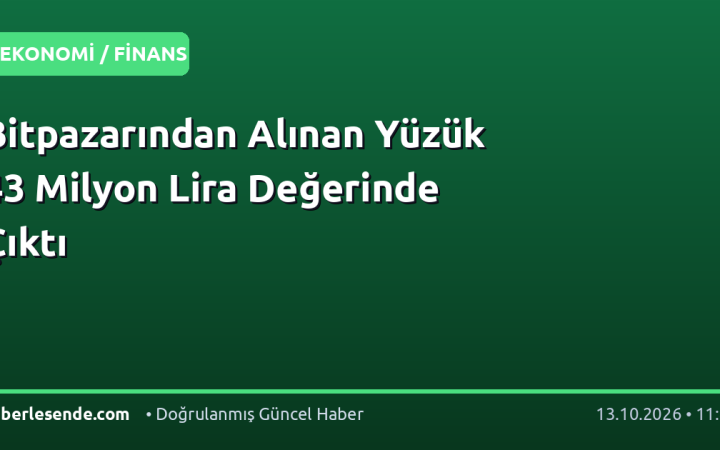 Bitpazarından Alınan Yüzük 43 Milyon Lira Değerinde Çıktı