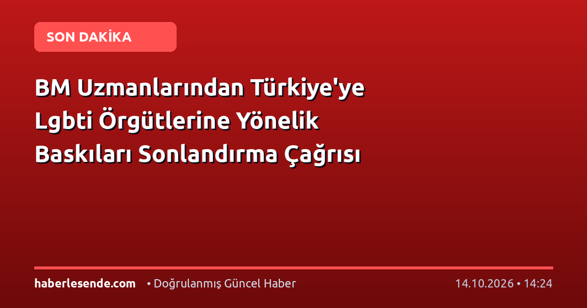 BM Uzmanlarından Türkiye'ye Lgbti Örgütlerine Yönelik Baskıları Sonlandırma Çağrısı