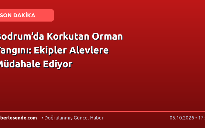 Bodrum’da Korkutan Orman Yangını: Ekipler Alevlere Müdahale Ediyor